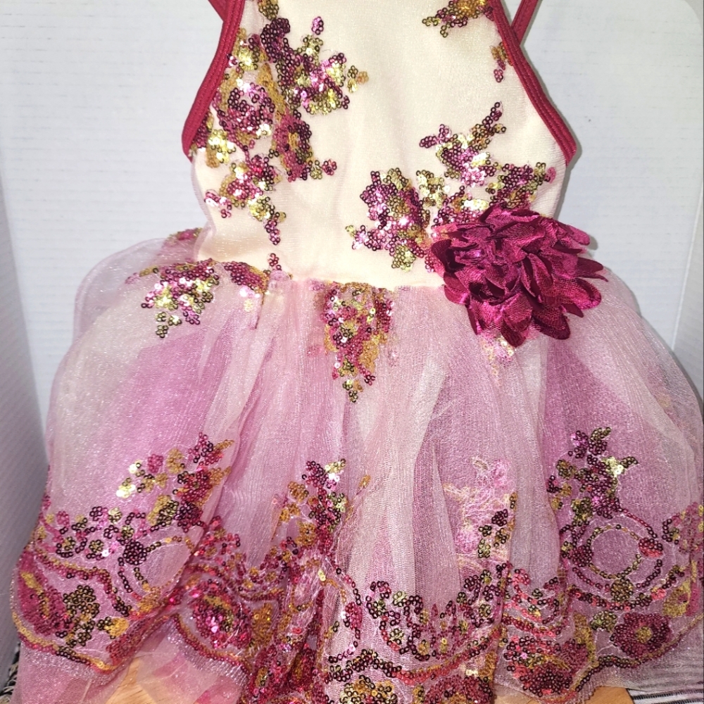 Girls Curtain Call Costume Dress